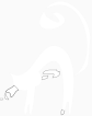 the sea cat
